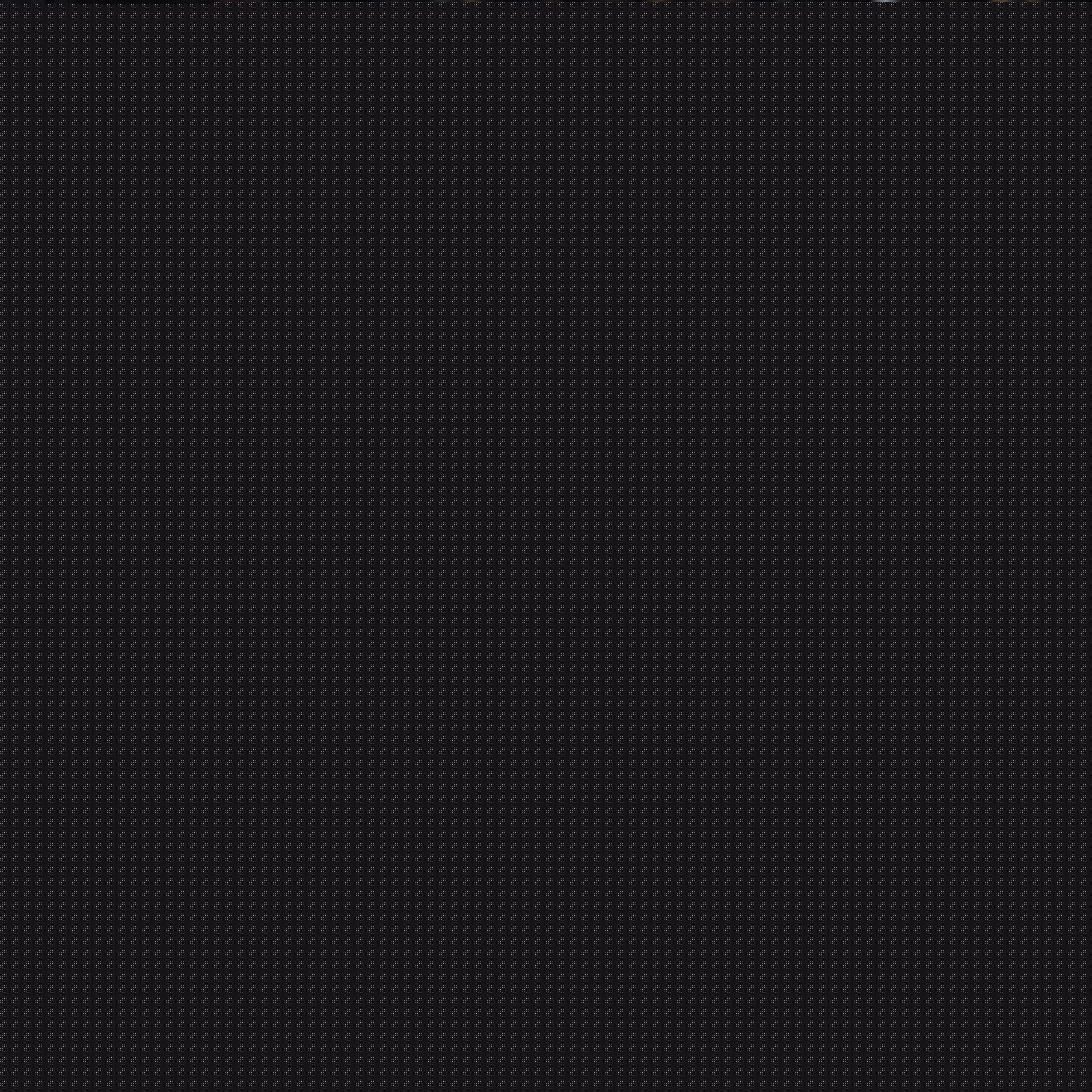 忽视的借鉴